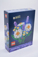 Fototapeta premium Lego botanicals daisies in Manila, Philippines