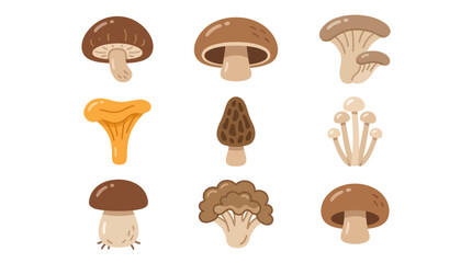 Collection of various fungus types isolated © Sastro