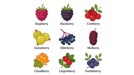 Various berry fruits collection © Zilong