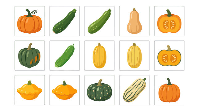 Variety of winter and summer squash