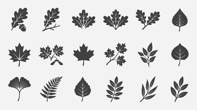 Set of various tree leaves icons, collection of forest foliage silhouettes, botanical elements for nature design flat vector editable file