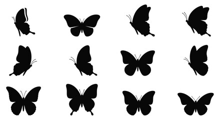 Black silhouettes of butterflies in various flight poses against a white background © Kawsar_Studio1998