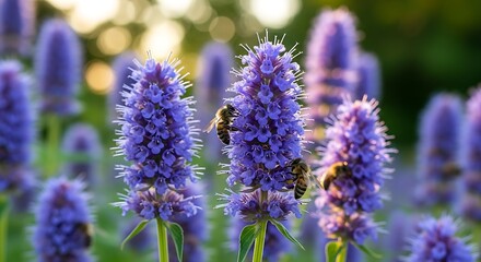 Obraz premium Bees Pollinating Purple Wildflowers in Sunlit Garden Meadow
