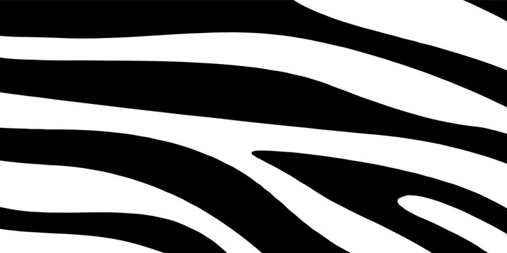 Black And White Zebra Pattern Background With Abstract Animal Stripes For Design And Fashion.vector eps10