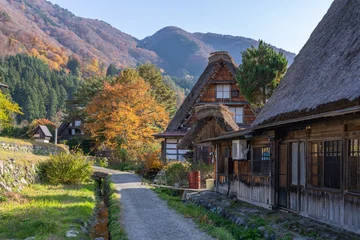 Old Japanese farm houses in Shirakawa-go, Gifu Prefecture, Japan © eyetronic
