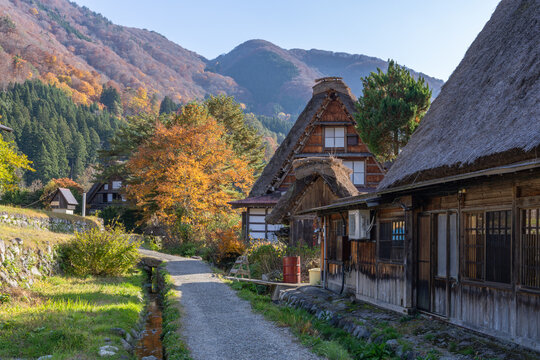Old Japanese farm houses in Shirakawa-go, Gifu Prefecture, Japan