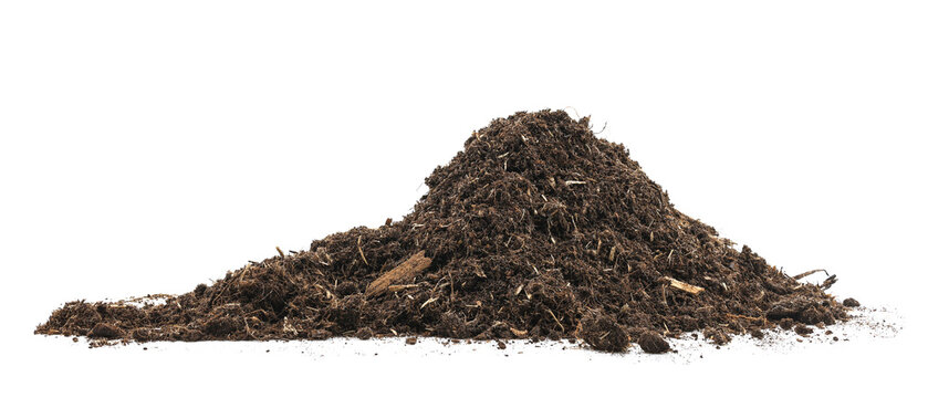 pile peat moss soil isolated on a white background. texture dirt in flowerpots for tree flower.