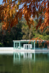 Obraz premium Autumn branches over calm lakeside with modern pavilion