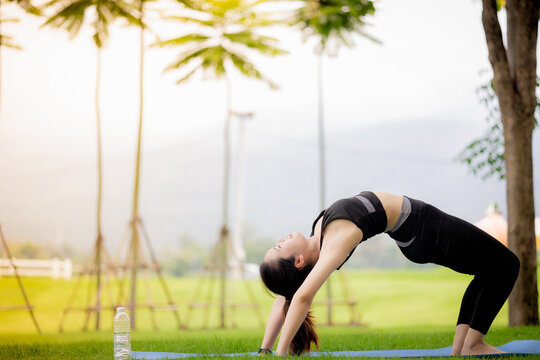 Young Asian woman practicing yoga outdoors in green park at sunrise