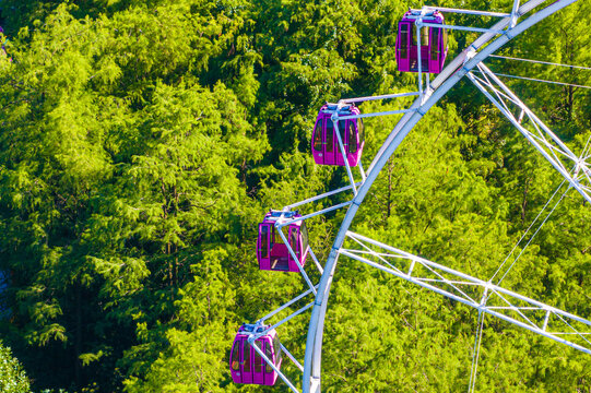 Purple Ferris Wheel Through Forest Canopy, Zhongshan Park