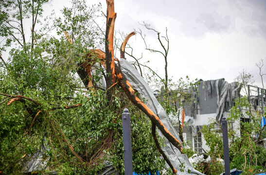Tornado Damage Aftermath - Snapped Trees and Destroyed Buildings