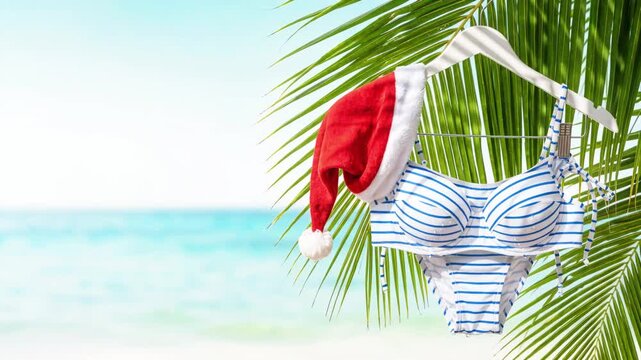 A swimsuit with thin blue stripes with a Santa hat on a palm tree branch, tropical New Year's beach vacation concept, Christmas travel destination, resort lifestyle. Relaxation, vacation, beachwear. S