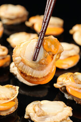 Fresh Shucked Raw Scallops on Ice Being Picked with Chopsticks - Premium Seafood Qingdao Style © DangThi
