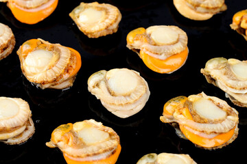 Fresh Raw Scallops with Colorful Shells from Qingdao China - Premium Seafood Display © DangThi