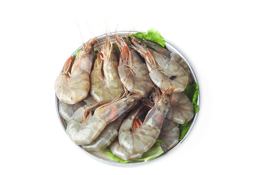 Fresh Raw Shrimp Seafood in Bowl with Lettuce Garnish - Qingdao Marine Products