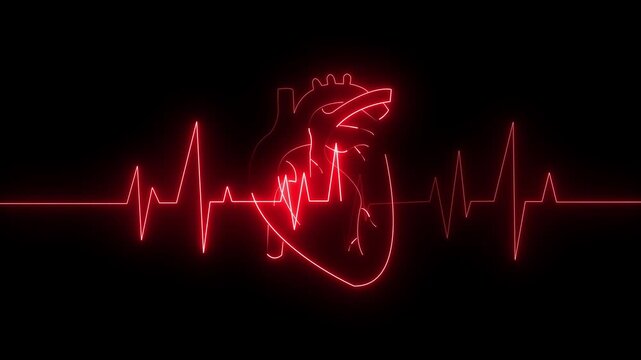 Glowing red human heart with EKG line. Neon heartbeat monitor pulse on black background.