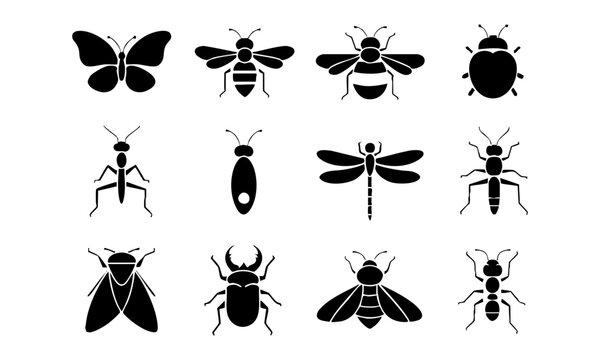 Black Insect Glyph Icon Collection.