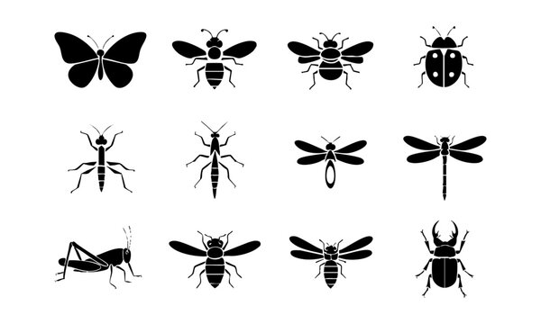 Minimal Black Insect Silhouette Icons.