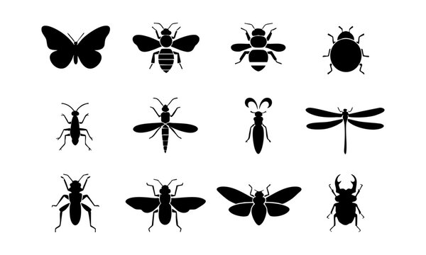 Nature Insect Glyph Symbol Collection.