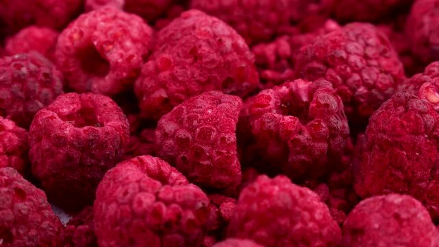Red whole freeze dried raspberry berries circle rotation close up