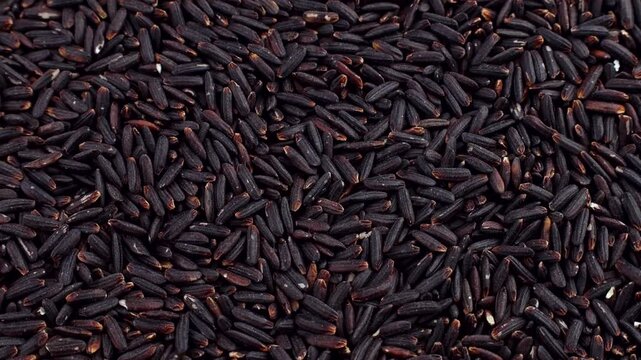 Black or Purple Rice or Riceberry texture circle rotation close up