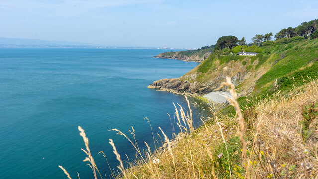 Summer Coastal Landscape in Howth, County Dublin