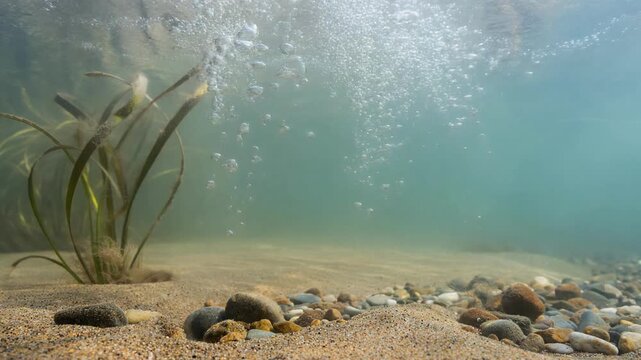 Underwater river scene with bubbles sandy bottom and aquatic plants in clear fresh water