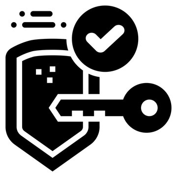 key lock check security solid glyph icon