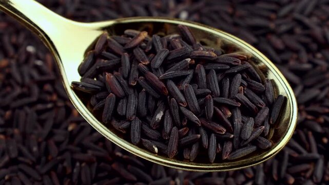 Black or Purple Rice or Riceberry in the spoon with background circle rotation close up