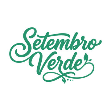 Lettering Vector Elementos Graficos Tipografia