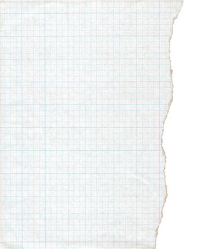 Torn graph paper with blue grid lines and textured surface