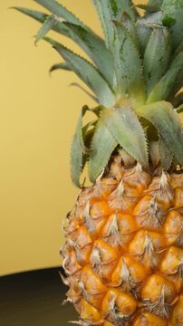 Fresh tropical fruit pineapple turning close up, vertical text space view