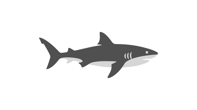 Gray Shark Swimming in Water.