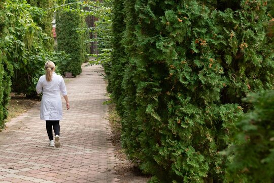 Person walking down brick path lined with manicured green hedges and trees in a calm, peaceful, and serene landscaped setting.