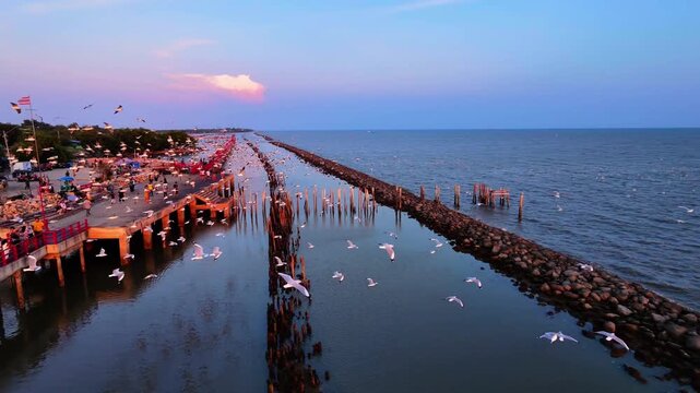 Aerial view flying through a flock of seagulls at sea coast during golden hour sunset in Bangkok, Thailand
