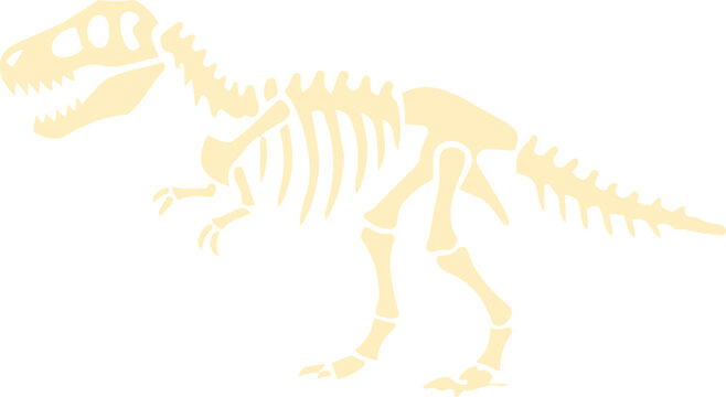 t rex skeleton