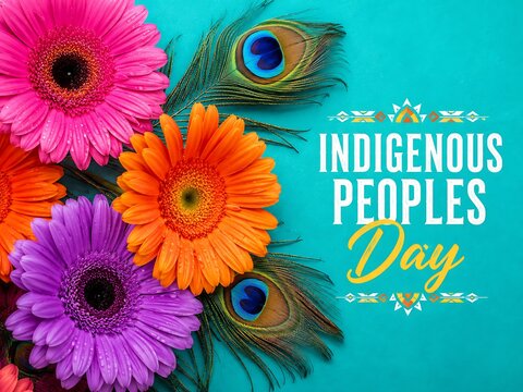 Colorful gerbera daisies and peacock feathers celebrating Indigenous Peoples Day on turquoise background