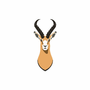 antelope head isolated