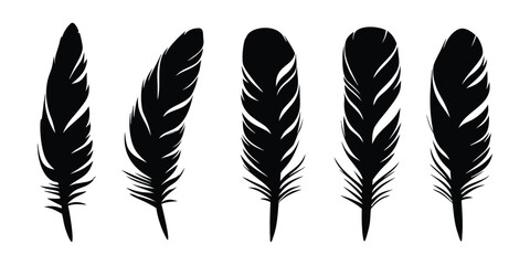 Set of Bird Feather. Pen icon. Black quill feather silhouette vector collection isolated on white background © Silhouette Zone