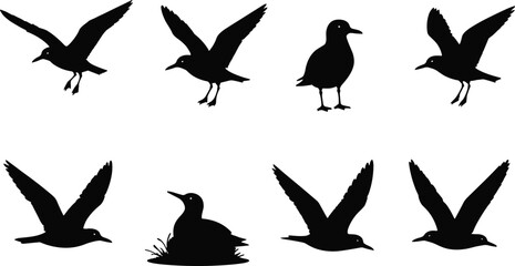 Seagull Silhouette Collection with Flying Standing and Coastal Bird Poses © Sheikh