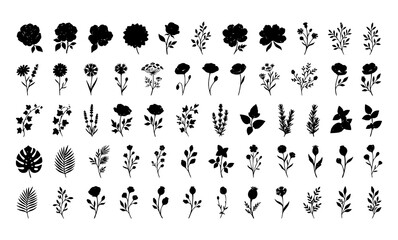 Obraz premium Hand drawn botanical flower silhouette collection with black floral leaves and wild garden plant vectors isolated on white background