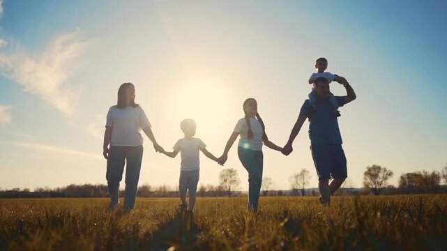 A family walking in a field. Family walking in the grass in summer. Family walking together in the lifestyle park holding hands. A family strolling through a meadow.