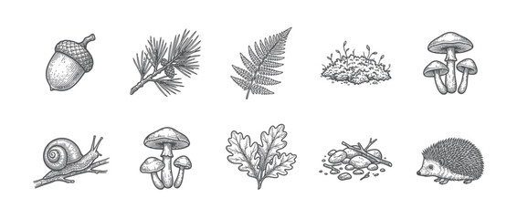 Forest Elements Collection: Hand-Drawn Nature Icons © Lilis