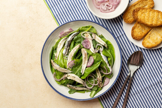 Top view of Fresh Emilia-Romagna style green radicchio salad with marinated red onions and anchovies, crostini bread. Traditional Italian summer salad Healthy Mediterranean cuisine.