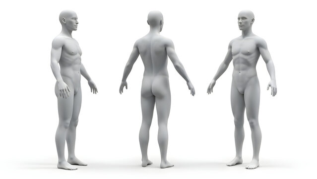 Anatomical reference of a neutral human male figure featuring front side and back view perspectives for artistic study and 3D modeling design