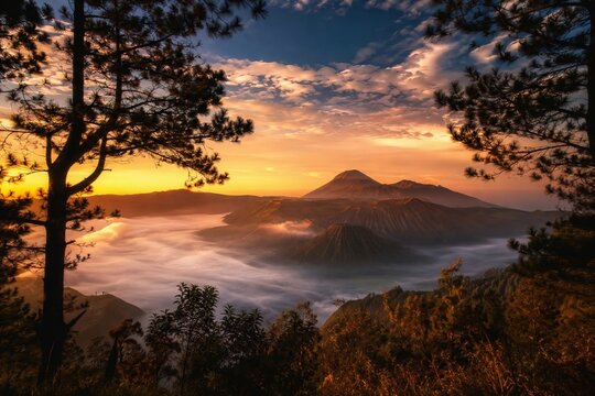 Golden Hour Mountain Landscape with Pine Trees, East Java, Indonesia
