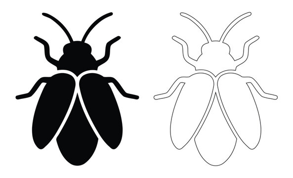 Firefly Silhouette and Outline Vector Graphic, Lightning Bug Insect Illustration, Lampyridae Top View Silhouette Artwork