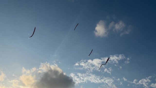 Colorful kites flying in a clear blue sky with scattered clouds. The scene captures the joy of outdoor activities and leisure.
