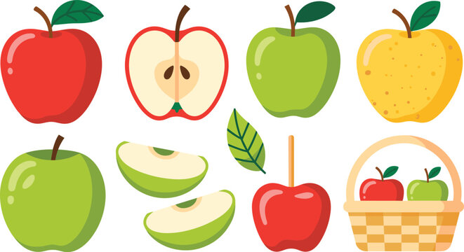 Apple harvest flat vector illustration set. Red, green and yellow apples alongside a cut half, wedges, single leaf, candy apple, and small basket show orchard design details.