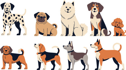 Dog breeds flat vector illustration bundle. Dalmatian, pug, husky, beagle, poodle and dachshund represent a diverse, friendly set of domestic canine pets. © IVY QUEEN